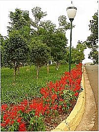 Jardim Bot�nico em Americana-Foto:James King Pyles Rib�
