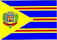 Bandeira do Municip�o