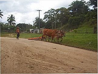 cidade de Ouricana
