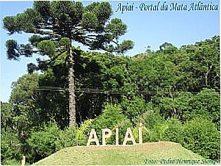 cidade de Apia�