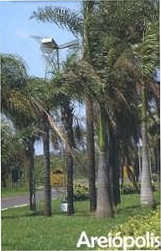 cidade de Arei�polis