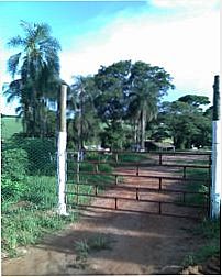 , Por jose pio de oliveira peixe