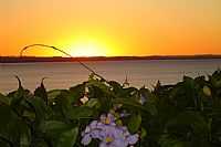 Avaré - Avaré-SP-Pôr do Sol na Represa-Foto:Marcelo Venturi