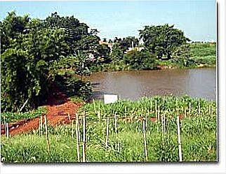 cidade de Bar�o de Geraldo