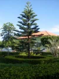 Palmas de Monte Alto - praça da prefeitura de palmas de mote alto, Por Renato santos
