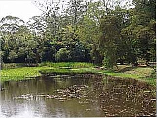 cidade de Buri