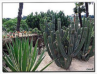 cidade de Ca�apava