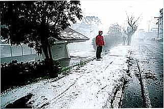 cidade de Campos do Jord�o