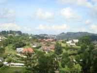 Campos do Jordão - Por Emmily santos