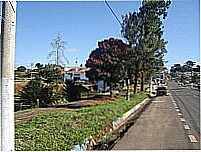 Ces�rio Lange  foto
Jo�o Savioli