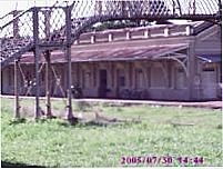 Estação ,