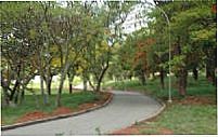Parque Débora Paro,