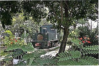 cidade de Cosm�polis