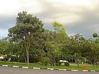 Cosmópolis - Praça Santa Gertrudes por irineu augusto