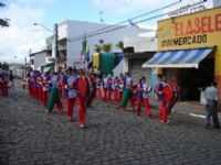 Pau Brasil - fampabra, Por francislan santos