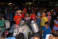 Pau Brasil - leite de onça/pau brasil, Por francislan santos