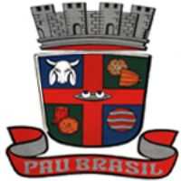 Pau Brasil - Brasão do Municipio - Por francislan santos