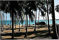 Praia de Bitingui por m.graca
