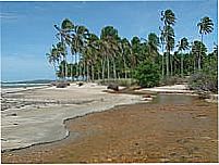 Praia de Japaratinga-Foto:E. B. Boaventura