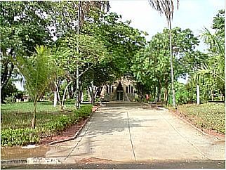 cidade de Floresta do Sul