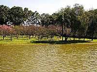 Garça - - Lago Artificial JK Willians por fabiovasconcelos