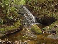 Garça - Cachoeira do Frabetti
por Francisco Christóforo Jr.