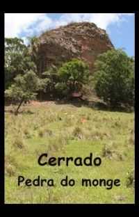 Guareí - Pedra do Monge, Por Poliana Maximo