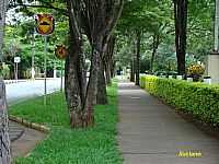 Holambra - Holambra-SP-Alameda arborizada-Foto:Leandro A lluciano