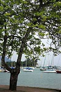 Ilhabela - Vista da Marina em Ilhabela-SP-Foto:PatyPeceguiniViana