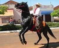 Indiaporã - Festa do Peão-Foto:ROBERTO MENDES DA SI…
