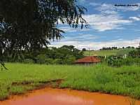 Maracai - Vista da área rural de Maracaí-SP-Foto:gustavo_asciutti