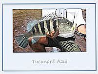 Tucunaré Azul