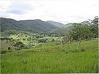 cidade de Joaquim Gomes