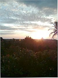 nascer do sol, Por FATIMA EMERICK