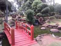 Paraguaçu Paulista - Jardim Cerejeira, Por Claudinei
