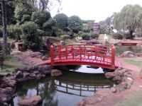 Paraguaçu Paulista - Jardim Cerejeira, Por Claudinei