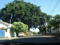 Pereira Barreto - Pereira Barreto foto
por Celso Antonio