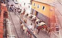 Piquete - Festa do Peão e Tropeirismo
