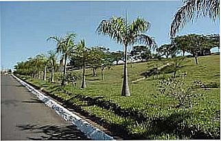 cidade de Piratininga