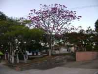 Riversul - praça da matriz, Por josé clovis de azevedo