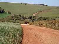 Santa Cruz do Rio Pardo - Santa Cruz do Rio Pardo-SP-Estrada das Três Ilhas-Foto:Emerson Gonçalves