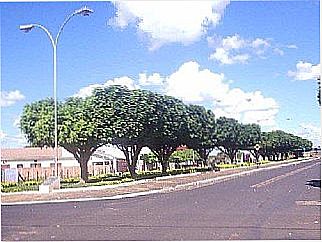 cidade de S�o Jo�o de Iracema