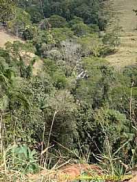 São José do Barreiro - Trilha da Pedra da Bacia em São José do Barreiro-SP-Foto:J. Augusto
