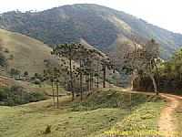 São José do Barreiro - Trilha da Pedra da Bacia em São José do Barreiro-SP-Foto:J. Augusto