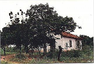 cidade de S�o Louren�o do Turvo