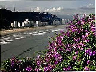 cidade de S�o Vicente