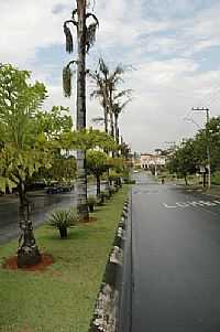 Sumaré - Av.das Palmeiras na Vila Flora em Sumaré-SP-Foto:L.M.Siqueira
