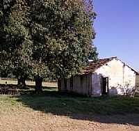 Sumaré - Imagem de área rural de Sumaré-SP-Foto:MMedinaBR