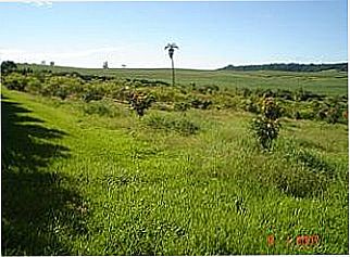cidade de Taia�u