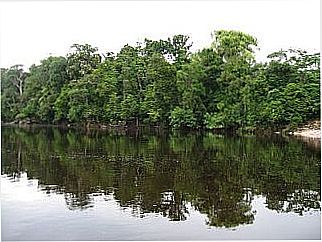 cidade de Ribeir�o do Salto